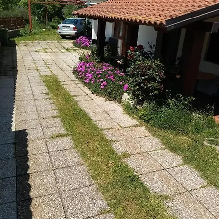 Mirko Apartment Pula